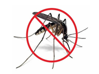 Mosquito Control