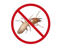 Termite Control